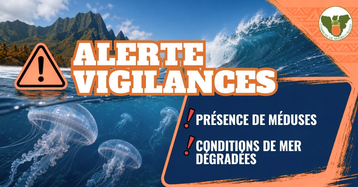 Affiche — ⚠️ ALERTE VIGILANCE – PRÉSENCE DE MÉDUSES ET CONDITIONS DE MER DÉGRADÉES ⚠️ La Commune de Moorea-Maiao appelle l'ensemble de la population à faire preuve de la plus grande prudence en raison de la...