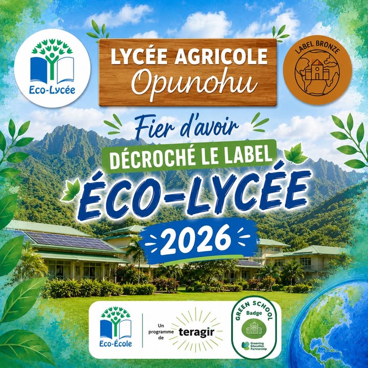 Affiche — [ACTUALITE]🎉🌿 GRANDE NOUVELLE !