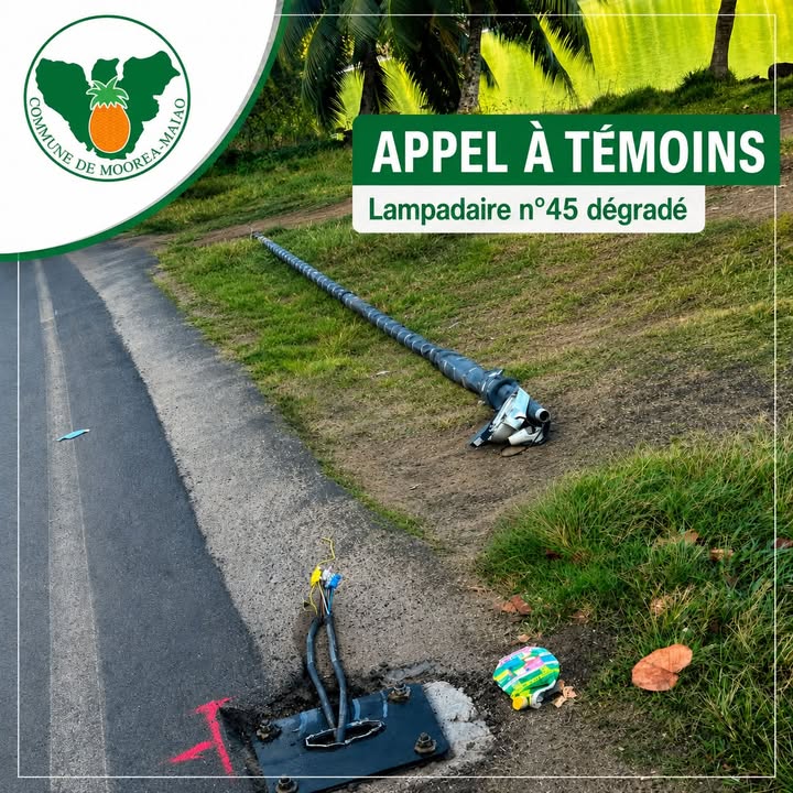 Affiche — 📢 APPEL À TÉMOINS | DÉGRADATION D’UN LAMPADAIRE A PAOPAO