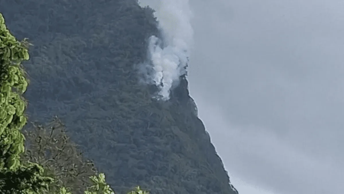 Affiche — Incendie de brousse dans les hauteurs d'Afareaitu