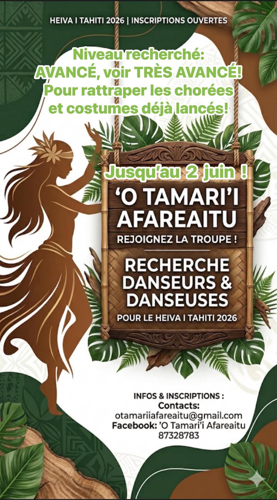 Affiche — RECHERCHE DANSEUR